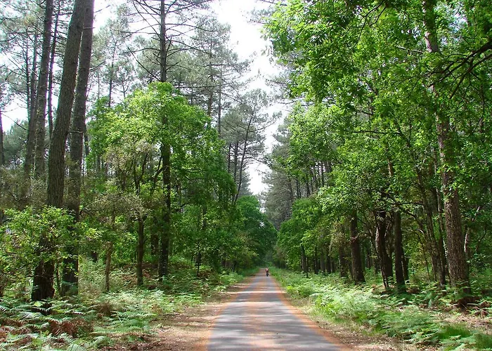 Lägenhet Le Rouge De La Gare Vieux-Boucau-les-Bains